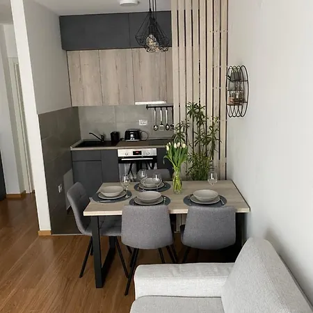 Pupin Star - Centre شقة نوفي ساد